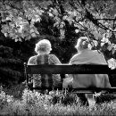 십자가축병원 이미지