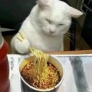 억짬뽕 네이버블로그