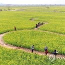 낙동강변9 이미지