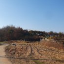 석교1리 | 홍북읍 산수리 당산마을 - 마을의 유래와 역사 ①