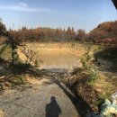 호수산장 관광농원 이미지