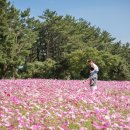 유수암마을 이미지