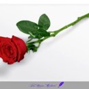 신화메디컬 이미지