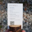 고양이 카페 여기 이미지