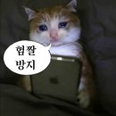 하나이비인후과 | 하나이비인후과 편도절제술 후기 (살크업~수술 7일차)