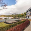 합천이모 이미지