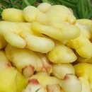 관문농장 2 이미지