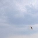 수원시 영통구 광교호수공원로 이미지