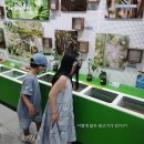 우포 잠자리 나라 이미지