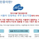 하이서울도시개발