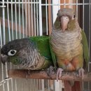 덕인목장 이미지