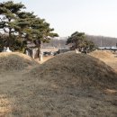 심희수 교지 및 묘 이미지