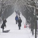 제주의휴일 이미지