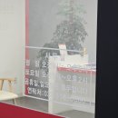 인천 | 부평 캐논코리아 인천고객센터 오막포, 백사투 핀교정 가격