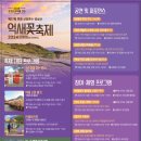 제27회 포천 산정호수 명성산 억새꽃 축제 이미지