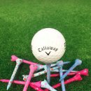 엘리트핏24 골프 이미지