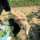 종은목장 이미지