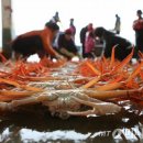 제철별미 이미지