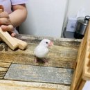 풍수명가