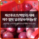 숙이네패션