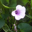 행운농장 이미지