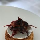 이상한키친 이미지