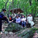 숲속통나무 이미지