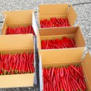 찬들농장 이미지