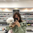서현Shop 이미지
