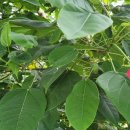 김성주행정사사무소 이미지