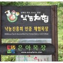 진흥목장 이미지