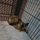 군산시-00943 이미지