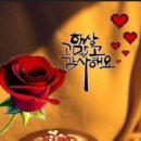 천년지기 - 평택시 | 천년지기