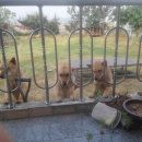 개편한 세상 이미지