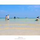 위미2리 교차로 이미지