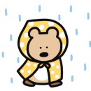 범계꽃집