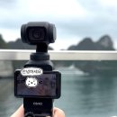 포할리데이 | 오즈모 인천공항 대여 내돈내산 추천 후기글 - 포할리데이