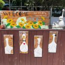 동명보건지소 이미지