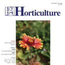 진흥종묘사 이미지