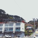 쉐이리코타키나 이미지