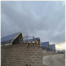 가우디움 펜션 이미지