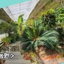 동양농원 이미지