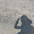 스마트 포토에세이 | 북마켓 · 은미작가 SOUL SPLIT IN HALF 포토 에세이 · 독립출판물과 굿즈 참가 후기 (*은그로우 첫 공개)