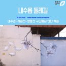 형동천 이미지