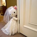 6395 | [결혼준비/본식DVD] 선릉 더휴 밝은홀 본식DVD 스냅스타 계약 후기, 최대 할인 방법(짝꿍코드O)