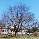 단강보건진료소 이미지