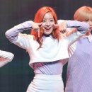 주희
