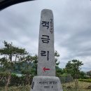 비봉화석지 화장실 | 여수 팔영대교 뷰 전남 백반 기행 로컬 찐 맛집 이어라