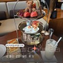 슈라이브러리 | 서울 호텔 디저트 추천 신라호텔 더 라이브러리 로열티 세트 후기