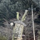 메밀꽃필무렵 | 평창 맛집 메밀꽃필무렵 솔직 후기